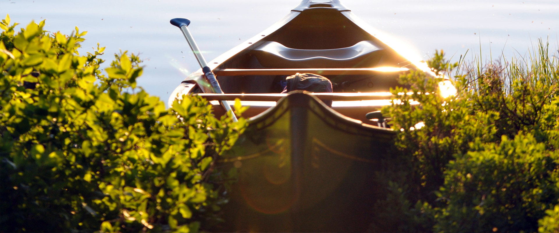 网站攻击软件工具