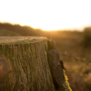 在线DDOS平台攻击