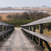 ddos在线攻击测试网站